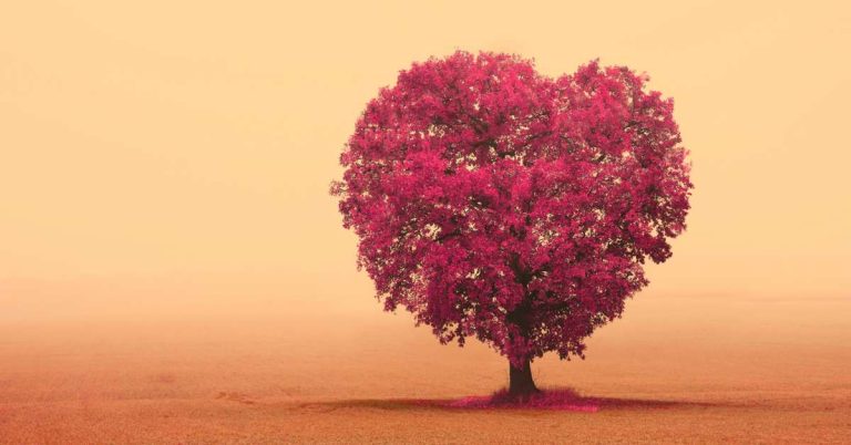 Effective Ways to Write a Captivating Bangla Status for Social Media Success